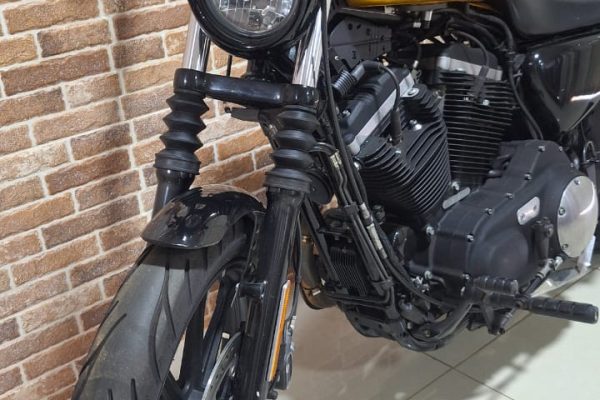 H-D Dourada (4)