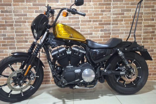 H-D Dourada (6)