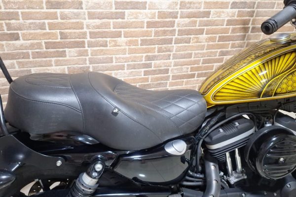 H-D Dourada (8)