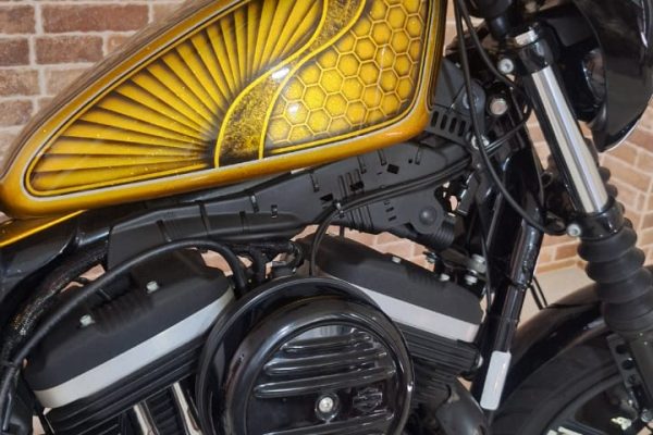 H-D Dourada (9)